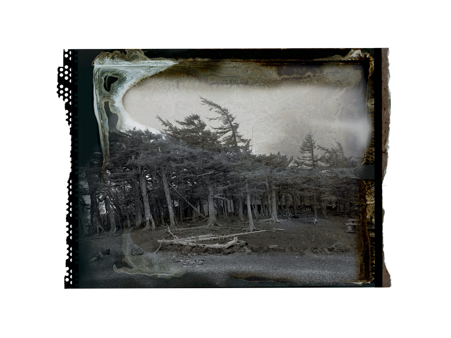 Mt.Fuji Polaroid 55