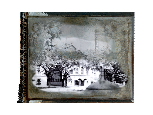 Sapporo Brewery Polaroid 55