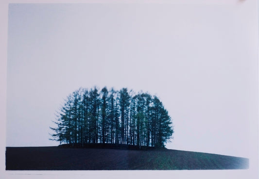 Biei, Mild Seven Hills, Hokkaido, Japan