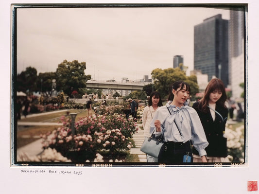 Nakanoshima Rose Garden, Osaka, Japan